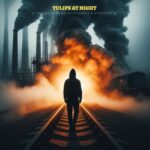 Dj Maxido, AbFlex Stigmata – Tulips at Night