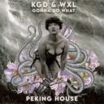 KGD, Kim Dahlberg – Gonna Do What