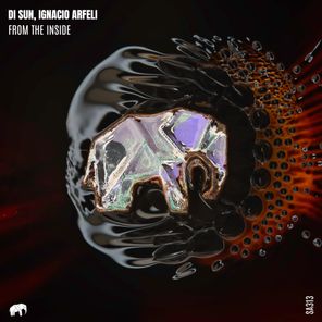 Ignacio Arfeli, DI SUN – From The Inside