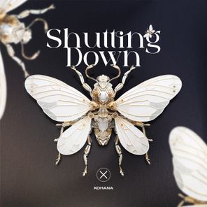 Sasha Kohana – Shutting Down