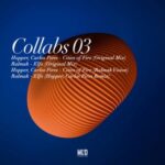 Carlos Pires, Hopper – Collabs 03