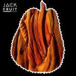 Dompe – Pure Funk