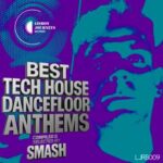 Ricardo Mello, Double B – V.A. – BEST TECH HOUSE DANCE FLOOR ANTHEMS – Selected & Compiled by SMASH (PT)
