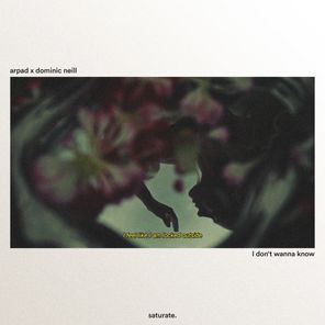Dominic Neill, Arpad – I Just Wanna Know