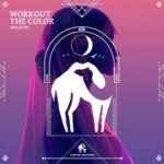 Cafe De Anatolia, Melecdo – Workout the Color