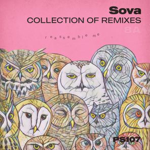 Slim 69, Roman’kov – Sova