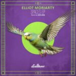 Elliot Moriarty, SHRI (IND) – Spaces