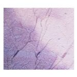 Polypores – I Wish There Was a Place Like That