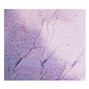 Polypores – I Wish There Was a Place Like That