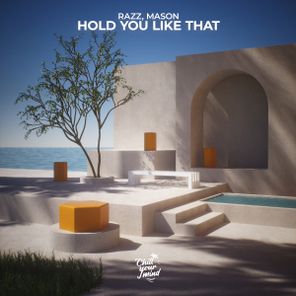 Mason, RAZZ – Hold You Like That