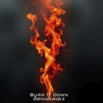 dongarcez – Burn It Down