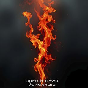 dongarcez – Burn It Down