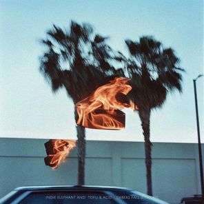 Indie Elephant, Tofu & Acid – Embers Fall