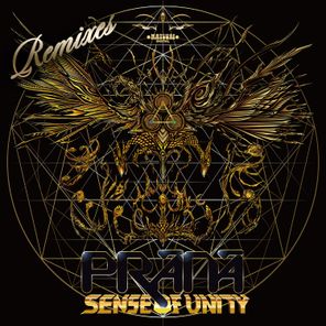 Gorovich, Funky Gong – Sense of Unity Remixes