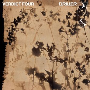 Fractions – Wild Calling