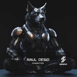 Raul Desid – Connected