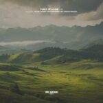 Julian Liander, Ignacio Corazza – Three of a Kind #035