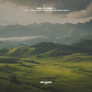Julian Liander, Ignacio Corazza – Three of a Kind #035
