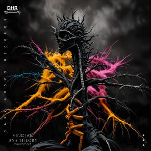 Findike – Dna Theory