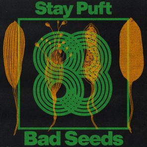 Stay Puft, Nicroma – Bad Seeds