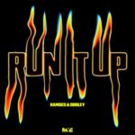 Hamses, Obbley – Run It Up