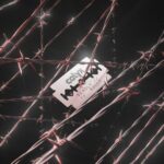 Calyx – Deadly / Gully