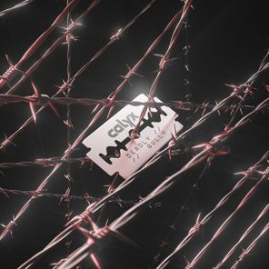 Calyx – Deadly / Gully