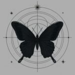 XAMAN – Mariposa Negra