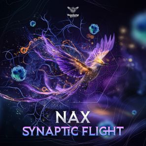 NAX – Synaptic Flight