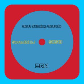 Seventhi DJ – Brn