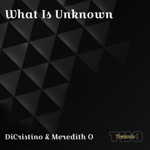 Meredith O, Dicristino – What Is Unknown