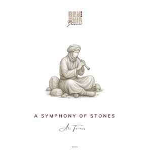 Ali Termos – A Symphony of Stones