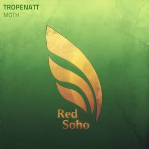 Tropenatt – Moth