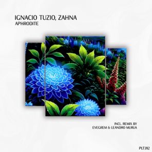 ZAHNA, Evegrem – Aphrodite