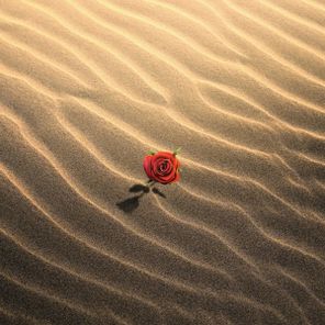 Ben Bux – Hope For The Hopeless