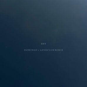 Loveclub, Domingo + – Shy (Domingo+ & Loveclub Remix)