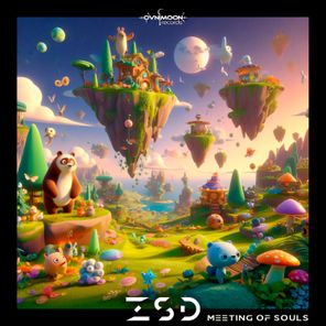 ZSD – Meeting of Souls