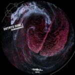 DSTRTD SGNL – Mindwork