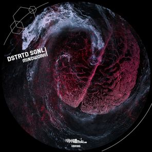 DSTRTD SGNL – Mindwork