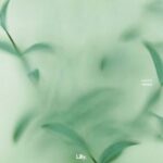 cypress – refract