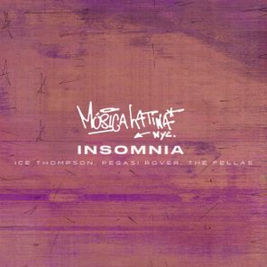 The Fellas (US), Pegasi Rover – Insomnia – 30th Year Anniversary Edit