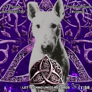 DJ Perroz, •INCØGNITØ• – The Guardian
