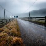 Alternute – Dunst