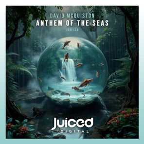 David McQuiston – Anthem of the Seas
