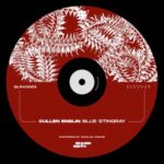 Cullen Enslin, Synthlab Records – Blue Stingray