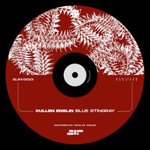Cullen Enslin, Synthlab Records – Blue Stingray
