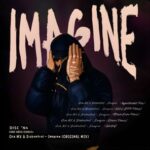 Diskontrol, Oca MX – Imagine