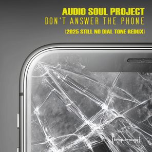 Funk D’Void, Steve Sibra – Don’t Answer the Phone [2025 Still No Dial Tone Redux]