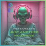 Pete Delete – Just Another Madness