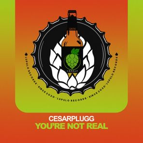 Cesarplugg – You’re Not Real